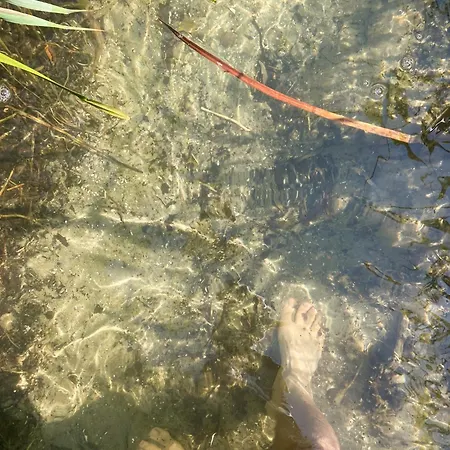 בית נופש Ruhiges Naturbelassenes Domizil Am Kl Warthesee